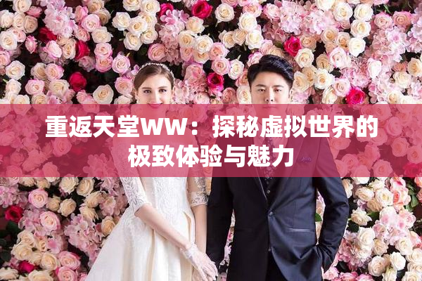 重返天堂WW：探秘虚拟世界的极致体验与魅力