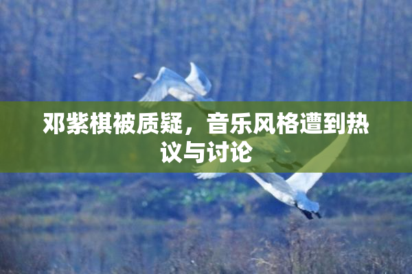 邓紫棋被质疑，音乐风格遭到热议与讨论
