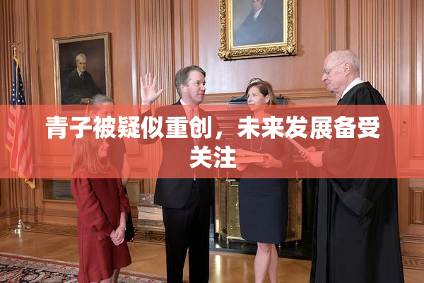 青子被疑似重创，未来发展备受关注