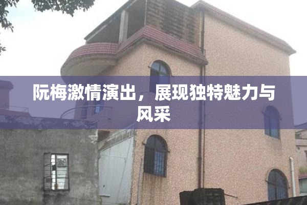 阮梅激情演出，展现独特魅力与风采