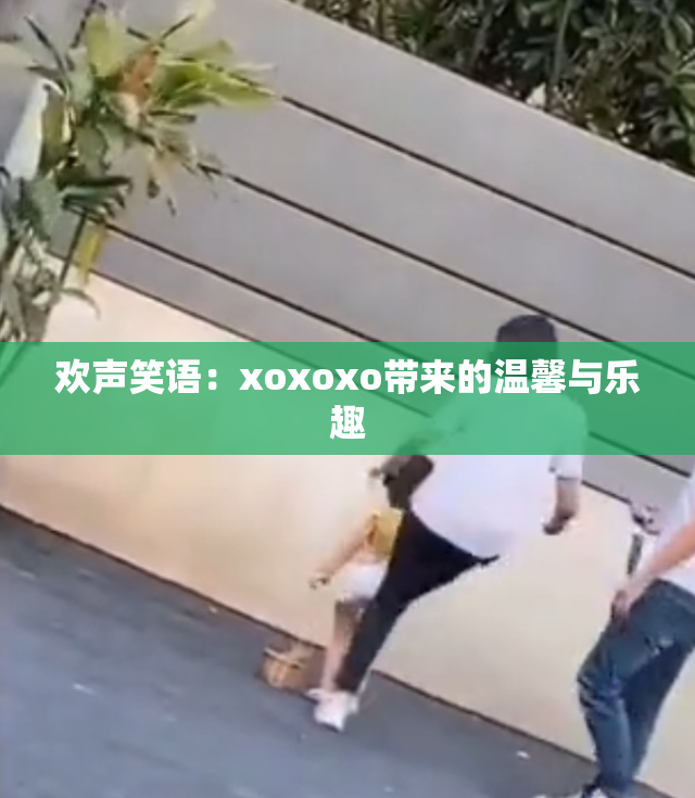 欢声笑语：xoxoxo带来的温馨与乐趣