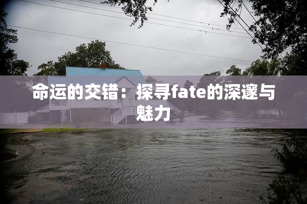 命运的交错：探寻fate的深邃与魅力