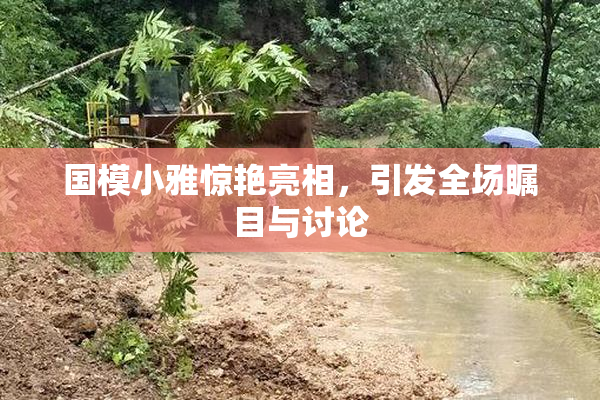 国模小雅惊艳亮相，引发全场瞩目与讨论