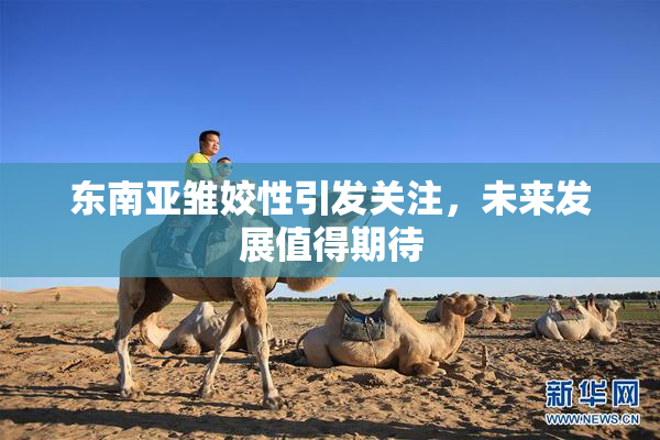 东南亚雏姣性引发关注，未来发展值得期待