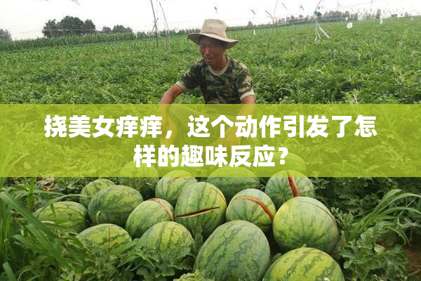 挠美女痒痒，这个动作引发了怎样的趣味反应？