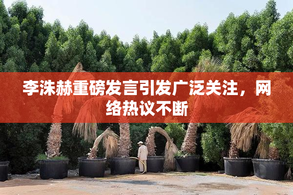 李洙赫重磅发言引发广泛关注，网络热议不断