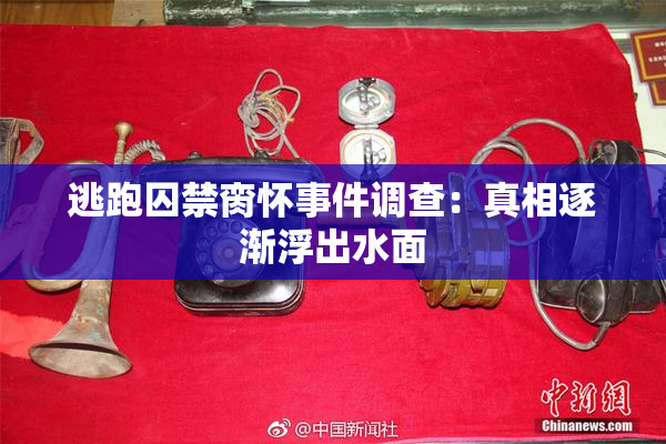 逃跑囚禁脔怀事件调查：真相逐渐浮出水面