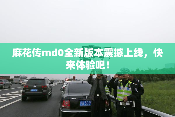 麻花传md0全新版本震撼上线，快来体验吧！