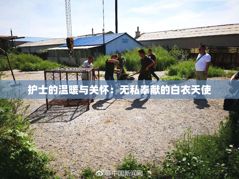 护士的温暖与关怀：无私奉献的白衣天使