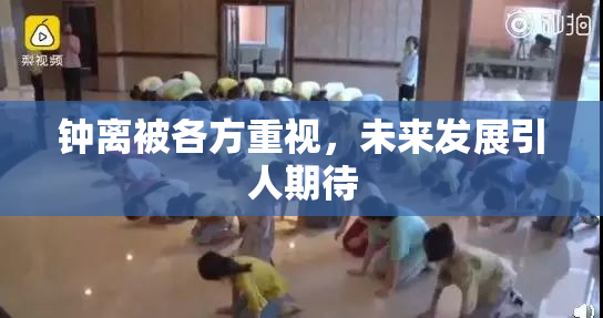 钟离被各方重视，未来发展引人期待