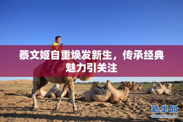 蔡文姬自重焕发新生，传承经典魅力引关注