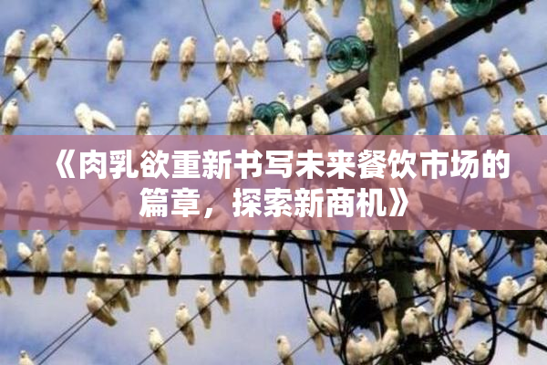 《肉乳欲重新书写未来餐饮市场的篇章，探索新商机》