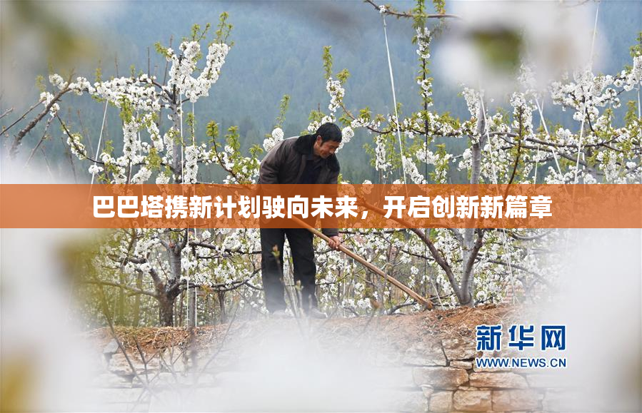 巴巴塔携新计划驶向未来，开启创新新篇章