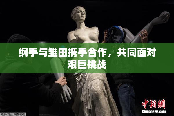 纲手与雏田携手合作，共同面对艰巨挑战