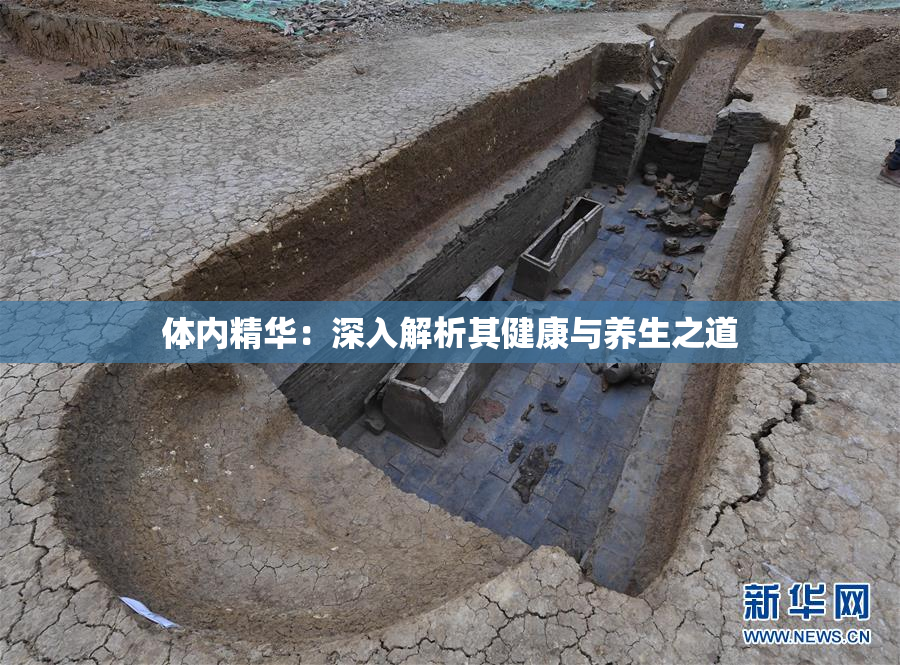 体内精华：深入解析其健康与养生之道
