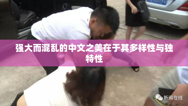 强大而混乱的中文之美在于其多样性与独特性