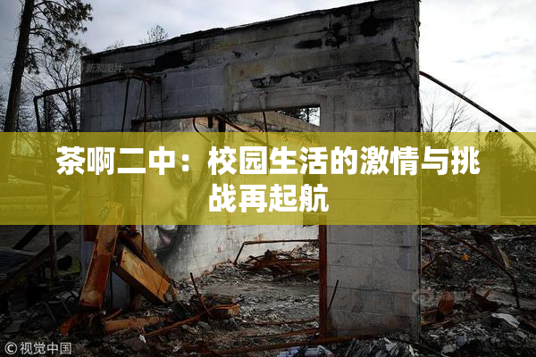 茶啊二中：校园生活的激情与挑战再起航