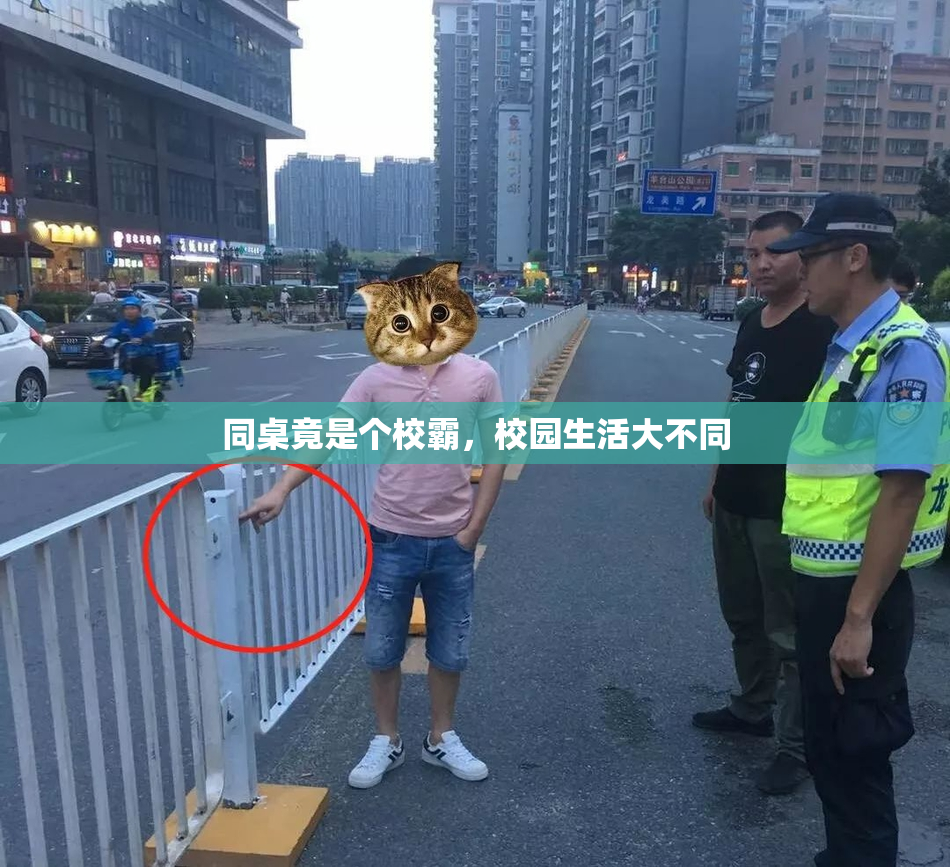 同桌竟是个校霸，校园生活大不同