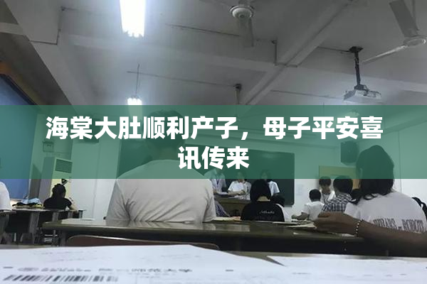 海棠大肚顺利产子，母子平安喜讯传来