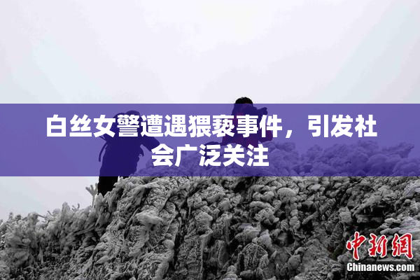 白丝女警遭遇猥亵事件，引发社会广泛关注