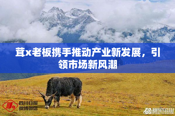 茸x老板携手推动产业新发展，引领市场新风潮