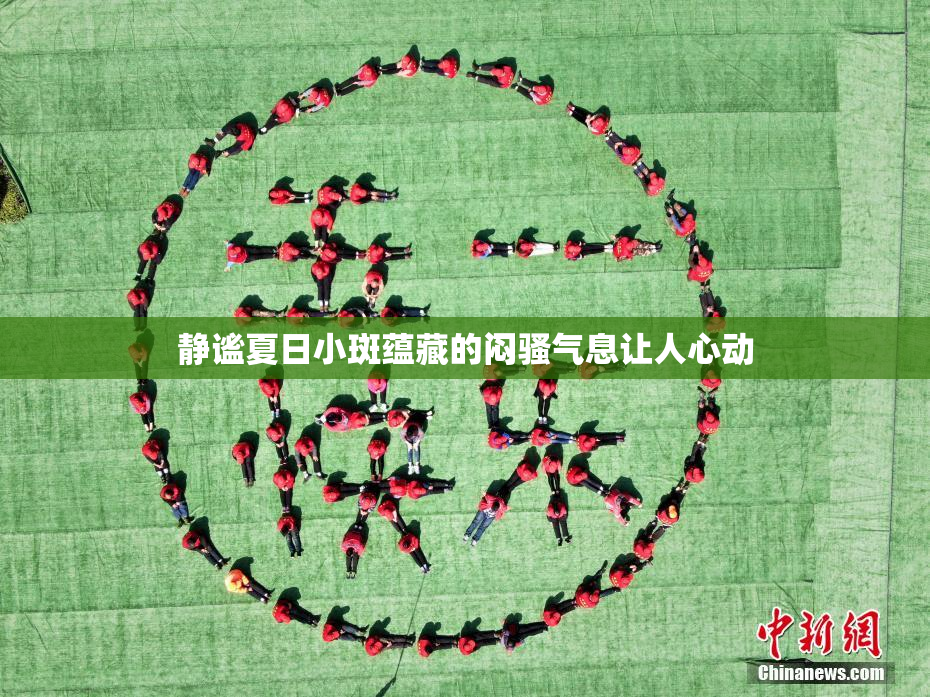 静谧夏日小斑蕴藏的闷骚气息让人心动
