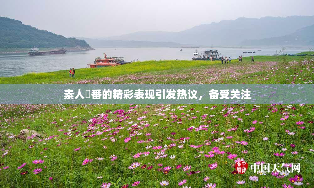 素人蘭番的精彩表现引发热议，备受关注