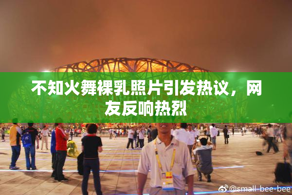 不知火舞裸乳照片引发热议，网友反响热烈