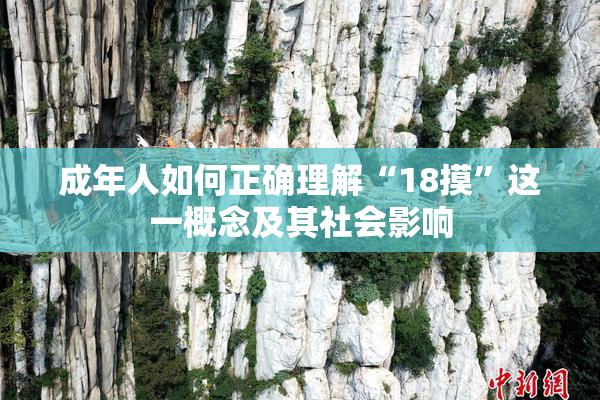 成年人如何正确理解“18摸”这一概念及其社会影响