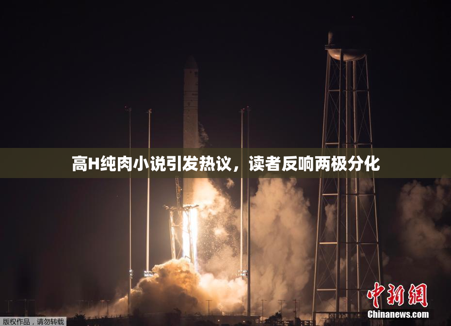 高H纯肉小说引发热议，读者反响两极分化