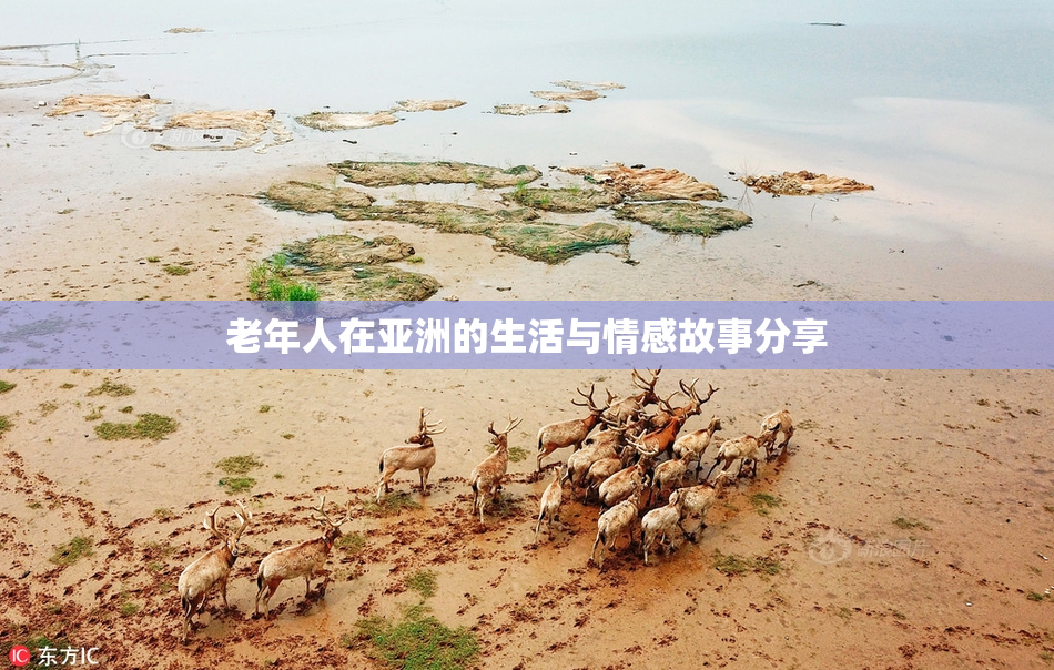 老年人在亚洲的生活与情感故事分享