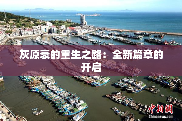 灰原衰的重生之路：全新篇章的开启