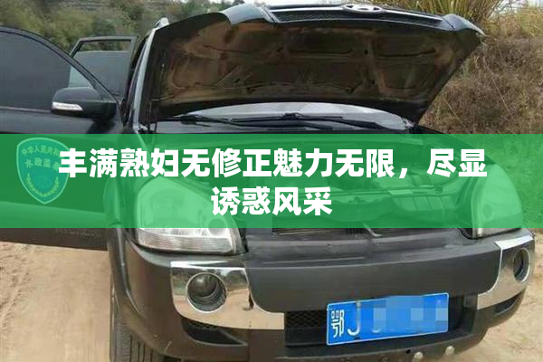 丰满熟妇无修正魅力无限，尽显诱惑风采