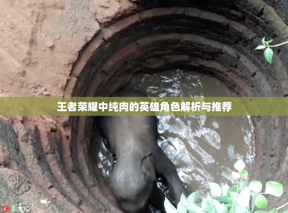 王者荣耀中纯肉的英雄角色解析与推荐