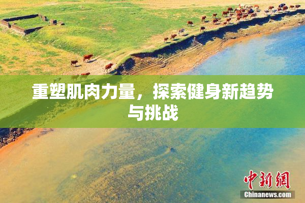 重塑肌肉力量，探索健身新趋势与挑战