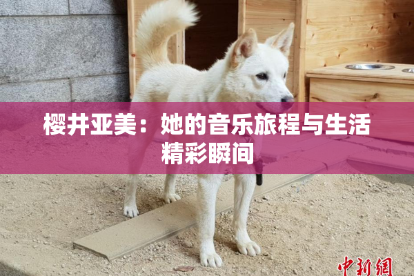 樱井亚美：她的音乐旅程与生活精彩瞬间