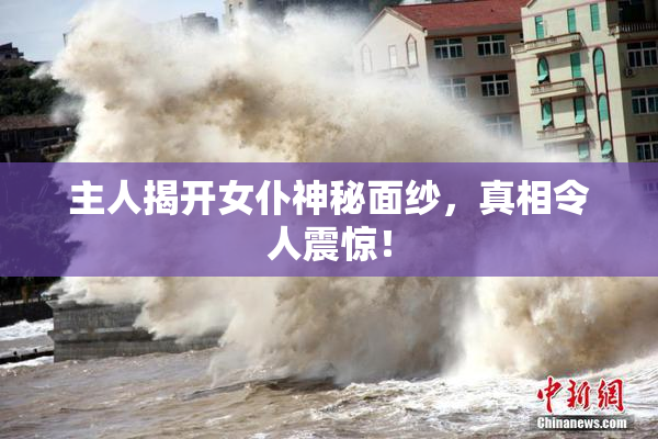 主人揭开女仆神秘面纱，真相令人震惊！