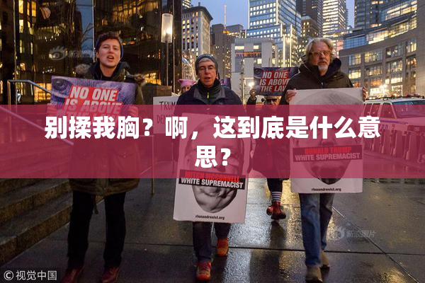 别揉我胸？啊，这到底是什么意思？