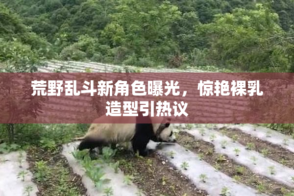 荒野乱斗新角色曝光，惊艳裸乳造型引热议