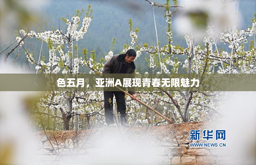 色五月，亚洲A展现青春无限魅力