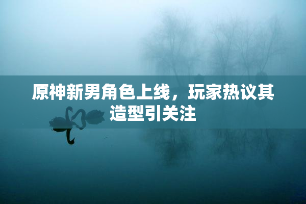原神新男角色上线，玩家热议其造型引关注