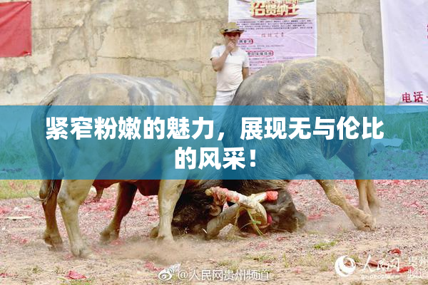 紧窄粉嫩的魅力，展现无与伦比的风采！