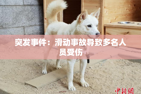 突发事件：滑动事故导致多名人员受伤