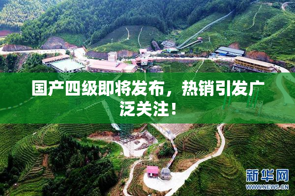 国产四级即将发布，热销引发广泛关注！