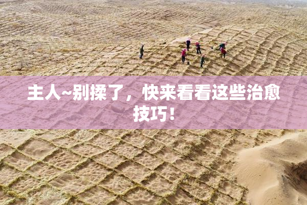主人~别揉了，快来看看这些治愈技巧！