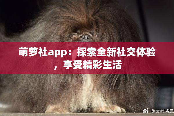 萌萝社app：探索全新社交体验，享受精彩生活