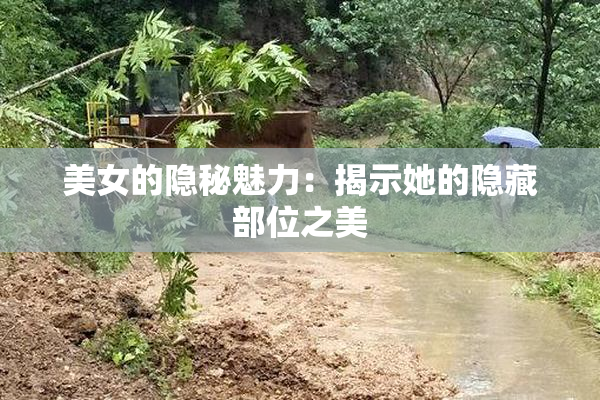美女的隐秘魅力：揭示她的隐藏部位之美