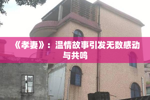 《孝妻》：温情故事引发无数感动与共鸣