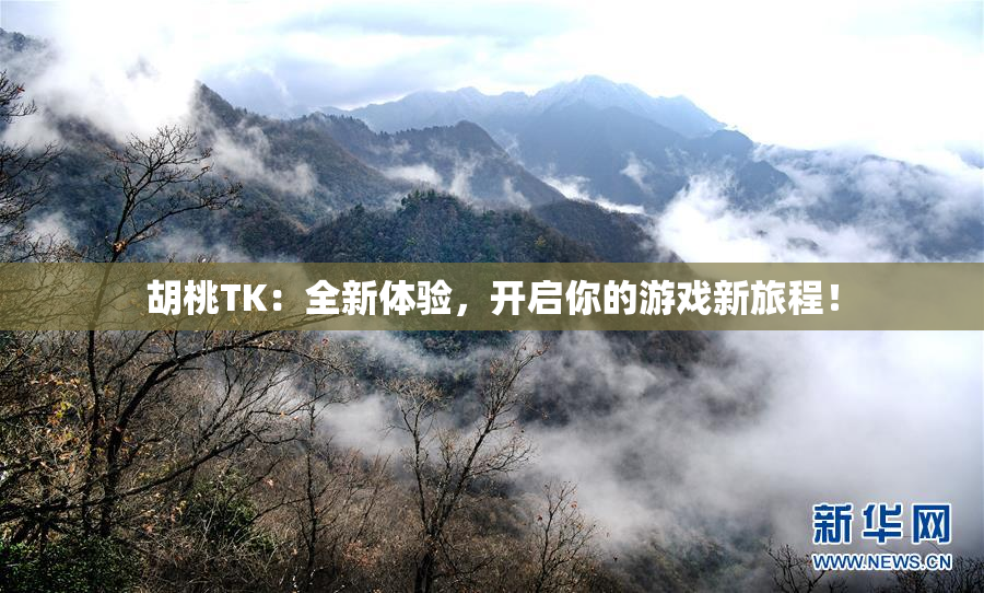 胡桃TK：全新体验，开启你的游戏新旅程！