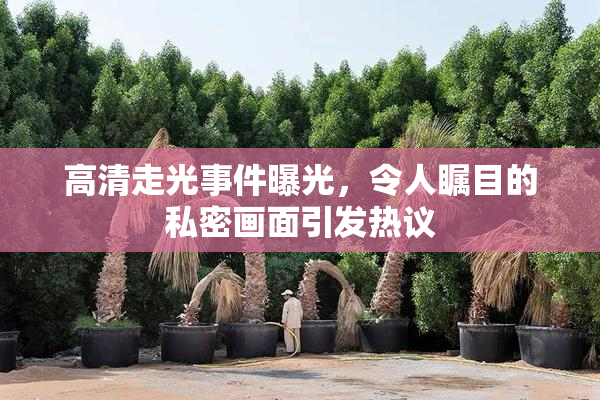 高清走光事件曝光，令人瞩目的私密画面引发热议